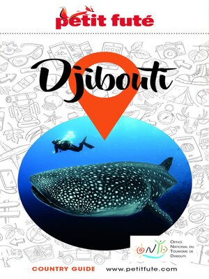 cover image of Djibouti 2021/2022 Petit Futé